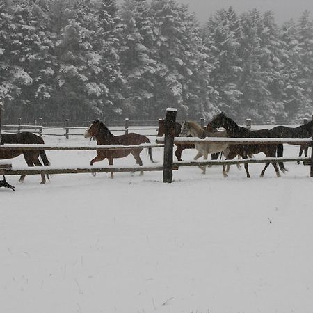 Penzion-Ranc U Trapera Hrabušice المظهر الخارجي الصورة